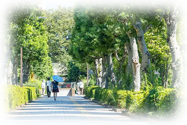 「新百合ヶ丘」駅前の風景（徒歩16分/約1,210m）