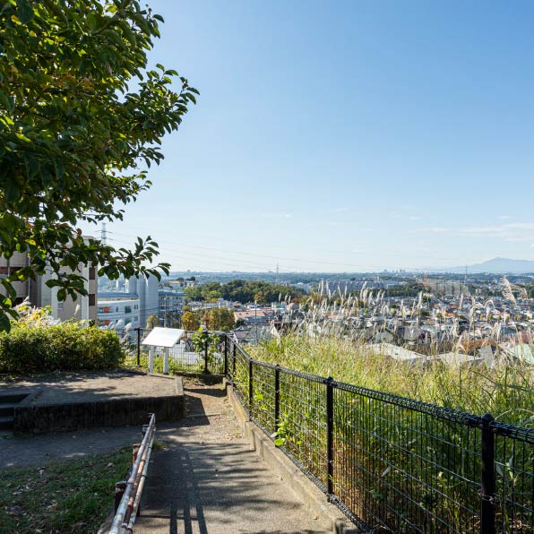 王禅寺見晴し公園